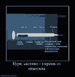 <a href='http://beotioneful.narod.ru/1174.html'>электронные сигареты ритчи</a>